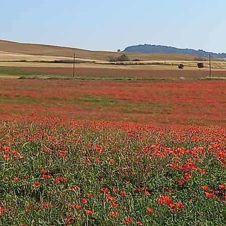 Appartamento Con Vista Panoramica Πιέντσα Εξωτερικό φωτογραφία